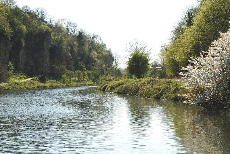 Creswell Crags gorge in Spin